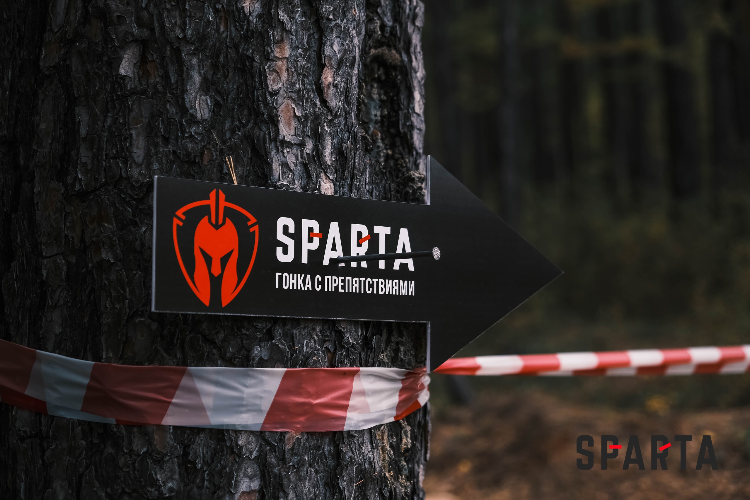 Чемпионат «Спарта»
